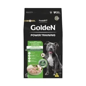 Golden Power Training Cães Adultos Frango