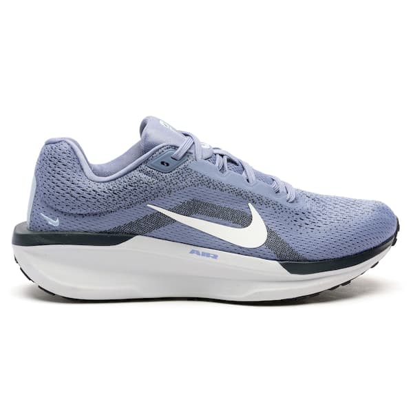 Nike Winflo 11 Cor sem nome