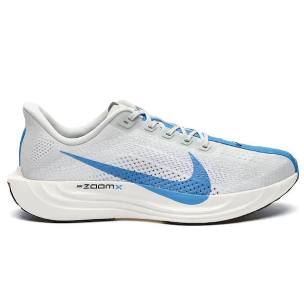Nike Pegasus Plus Cor sem nome