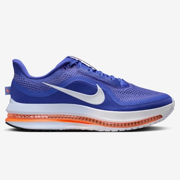 Nike Pegasus Premium Cor sem nome