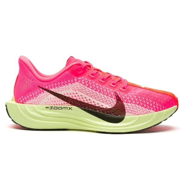 Nike Pegasus Plus Cor sem nome