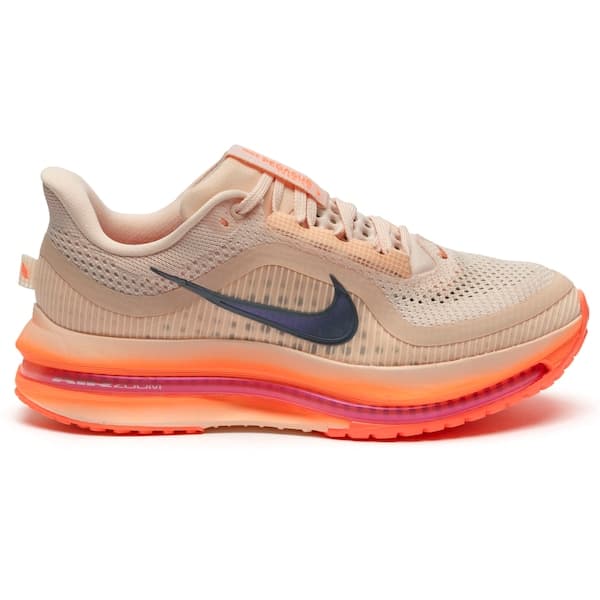 Nike Pegasus Premium Cor sem nome