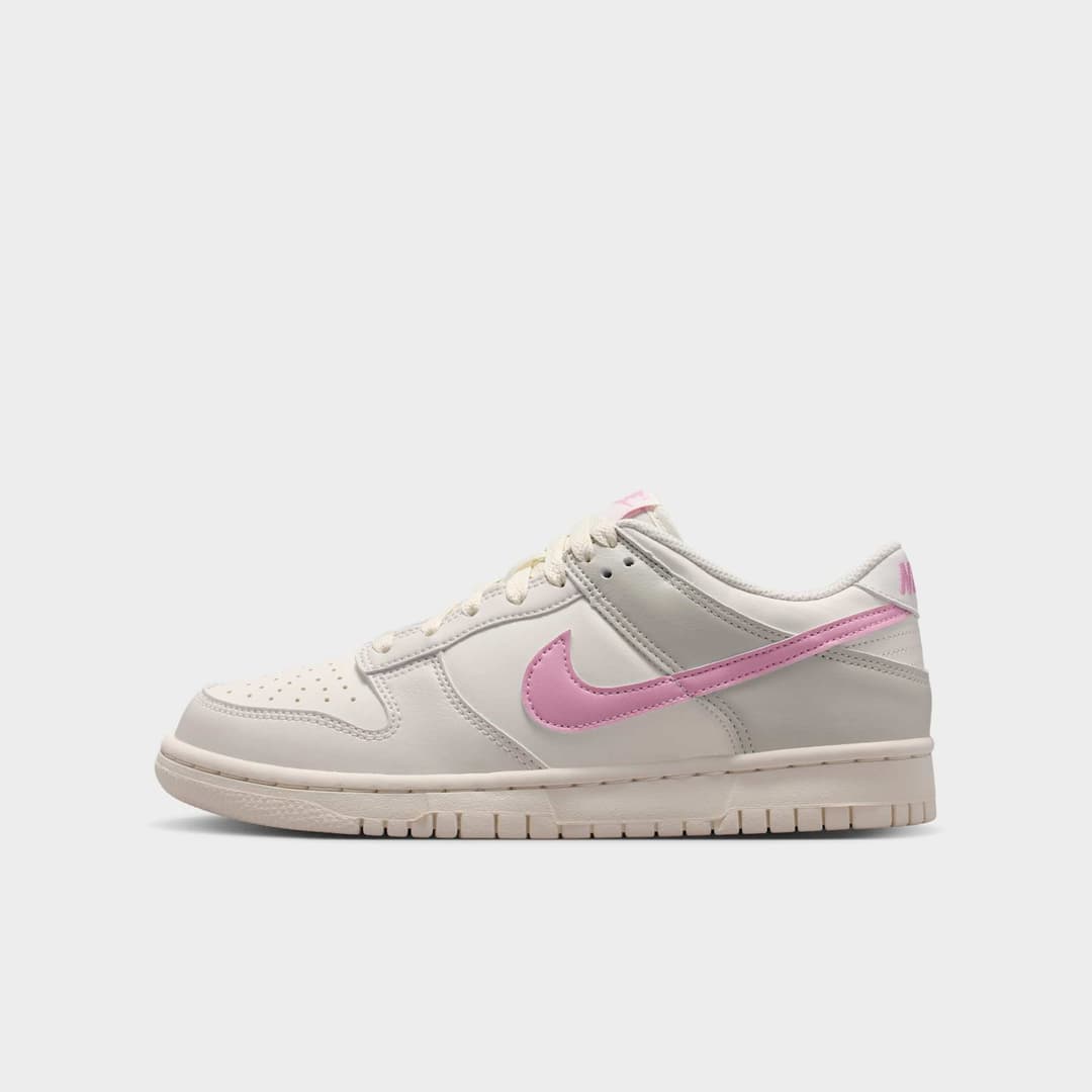 Nike Dunk Low Next Nature Infantil Código IU7766-105
